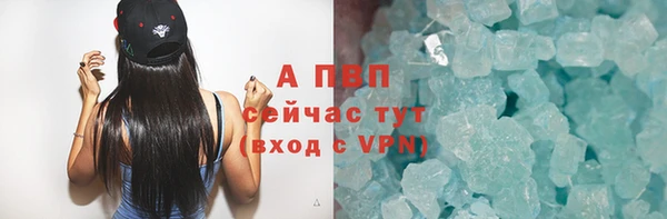 стаф Волосово