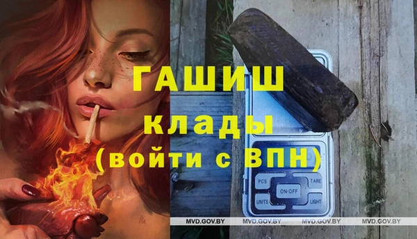 стаф Волосово