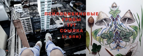 стаф Волосово