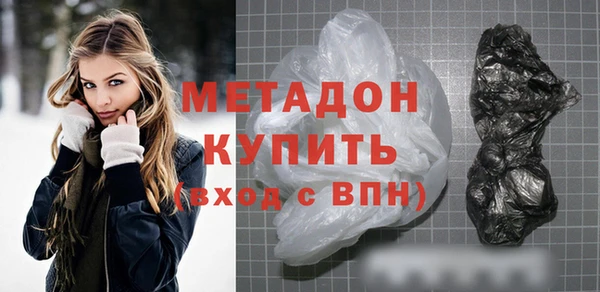 сатива Бородино