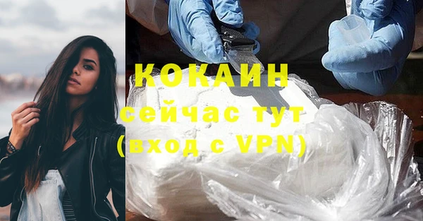 твердый Володарск