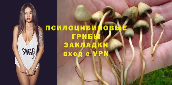 твердый Володарск