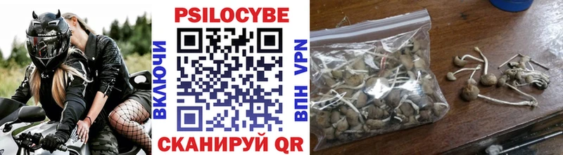 Псилоцибиновые грибы GOLDEN TEACHER  купить наркоту  Вилюйск 